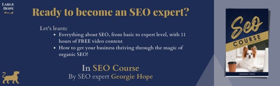SEO course for business owners