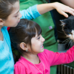 How to host and market a pet adoption event