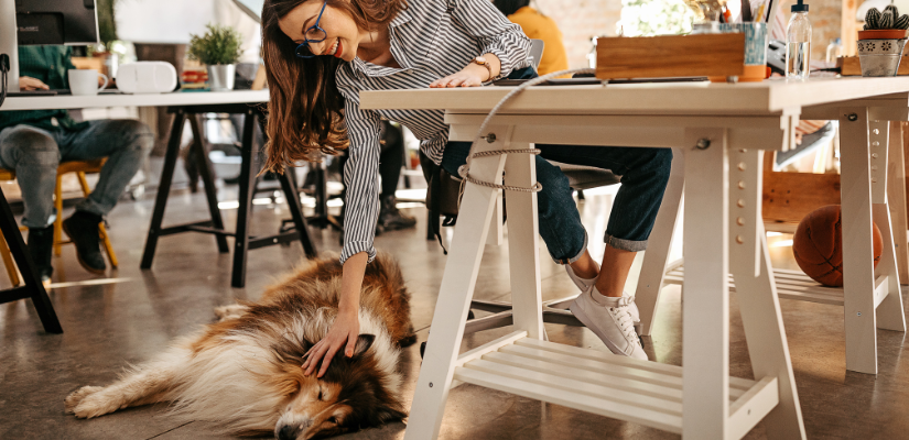 Benefits of Office Pets for Employees and Your Brand