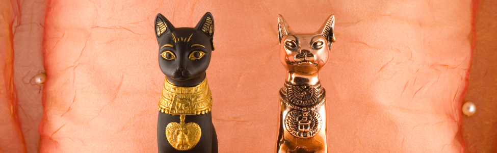 Egyptian Cats - Where Do Cats Come From, and Where Do They Live?