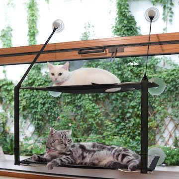 Double Decker cat Window Hamock canvas