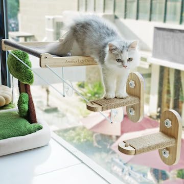 cat hammock with steps for easier access